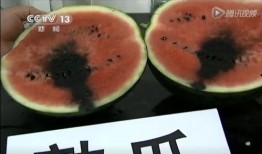 52吃瓜爆料免费吃瓜视频,免费畅享热门吃瓜视频盛宴